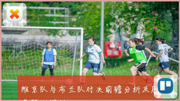 维京队与布兰队对决前瞻分析及胜负预测探讨
